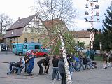 Maibaum 189
